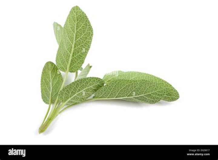 What is a sprig of sage