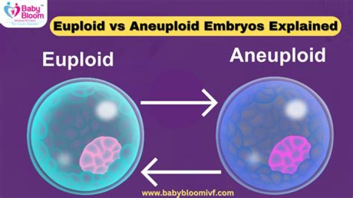 What is an aneuploid embryo
