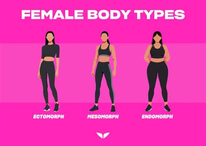 What is an ectomorph female