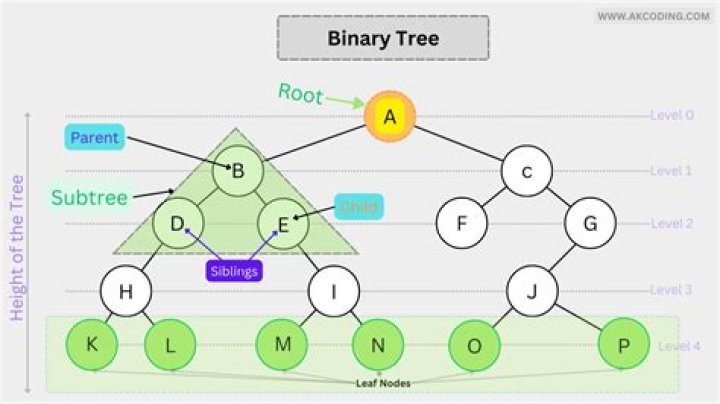 What is binary morphology