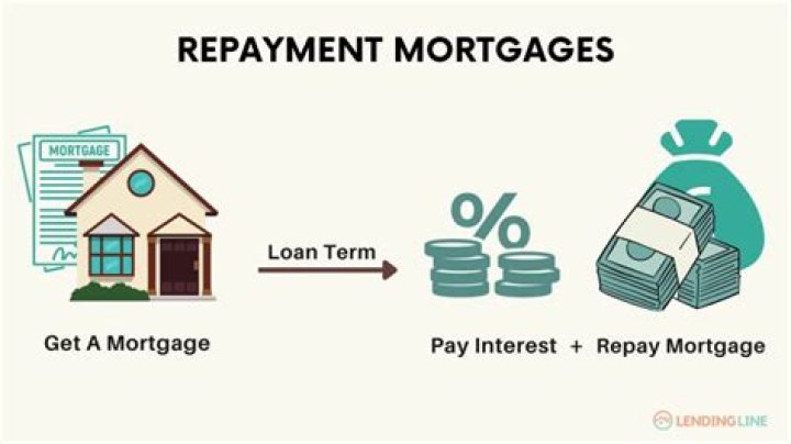 What is capital repayment