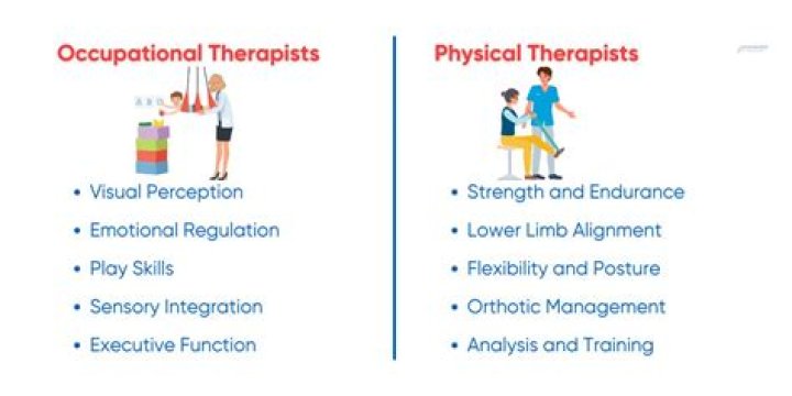 What is COMT in physical therapy