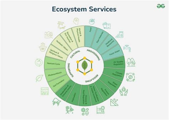What is ecosystem and ecosystem services