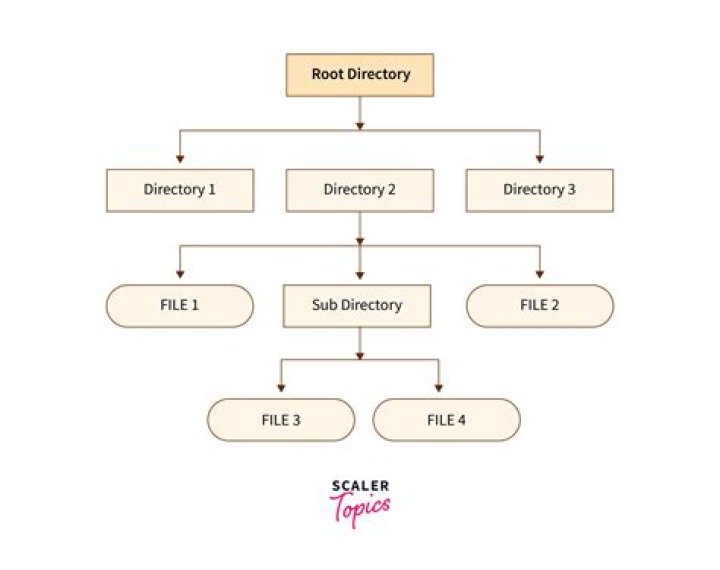 What is extent file system