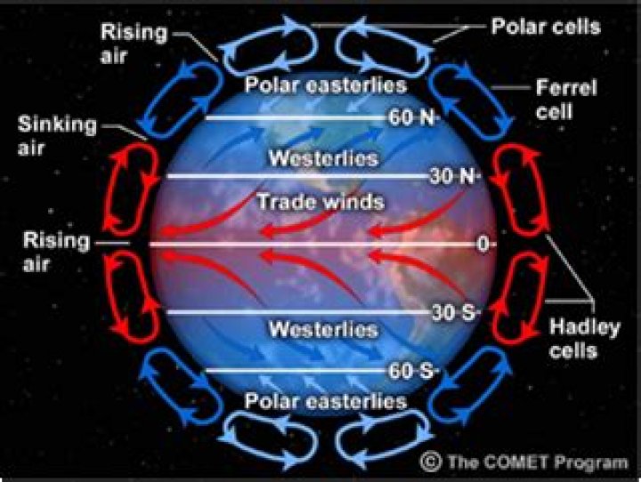 What is global wind circulation