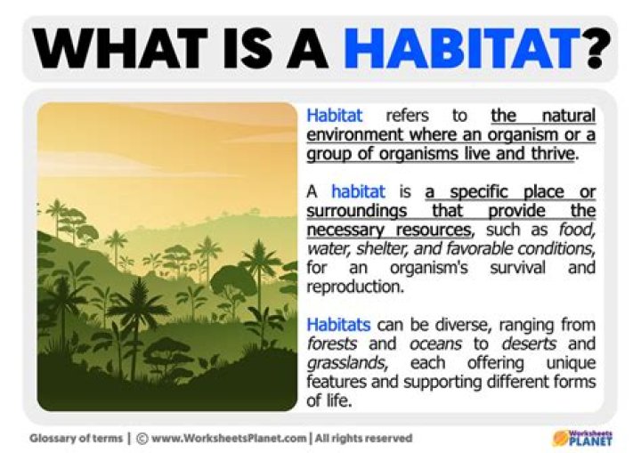 What is habitat very short answer