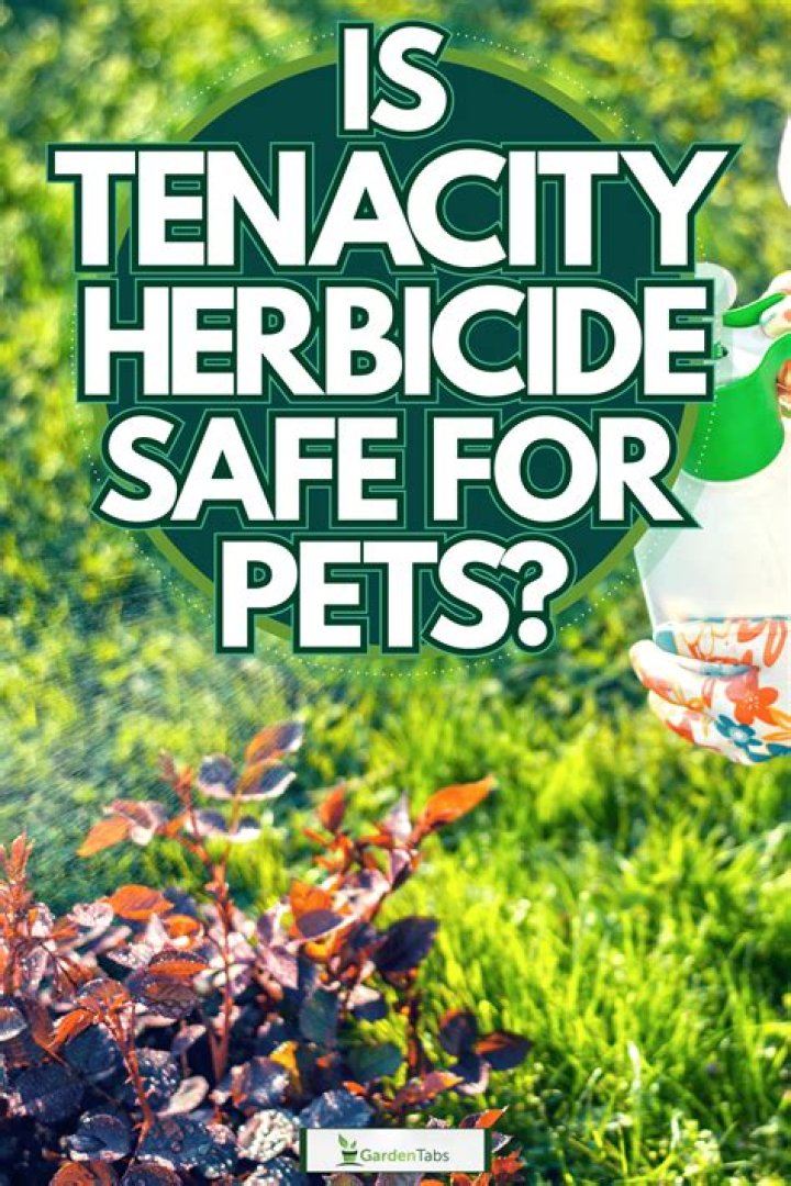 What is in tenacity herbicide