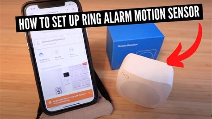What is motion detector alarm