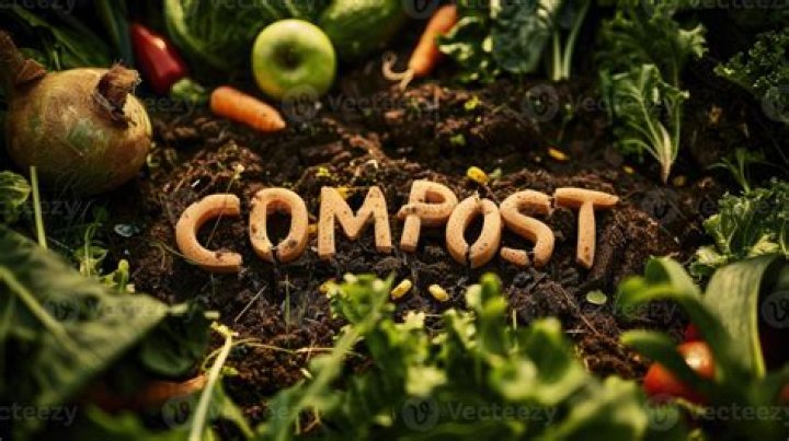 What is peat free compost made of