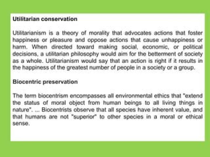 What is pragmatic utilitarian conservation