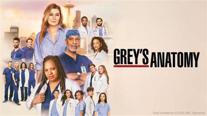 What is scut GREYs anatomy