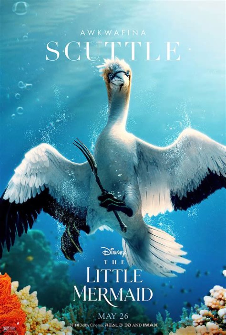 What is scuttle in The Little Mermaid