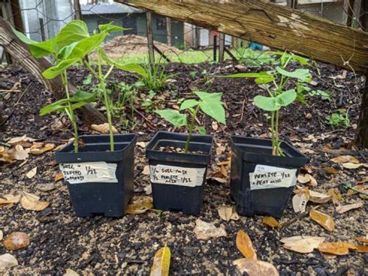 What is seed starting medium