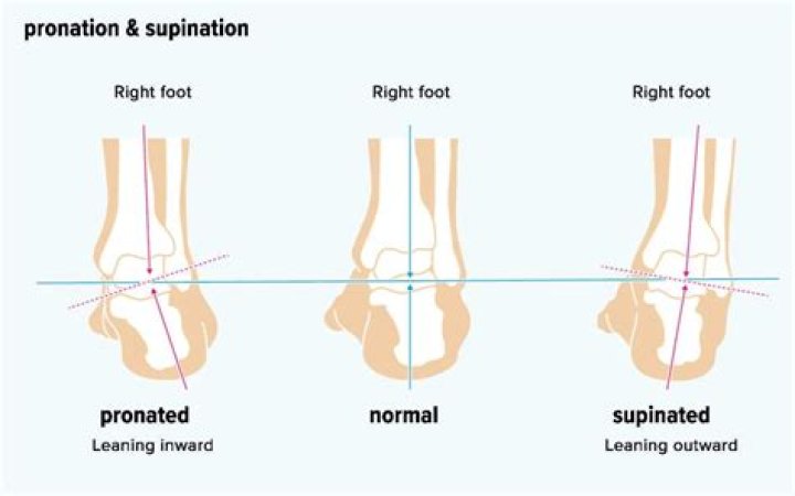 What is supination and pronation