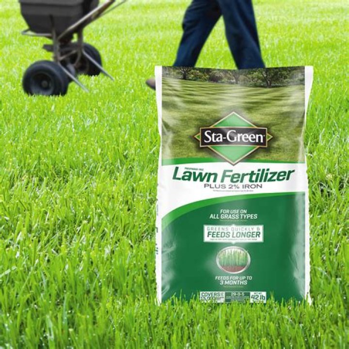 What is the best fertilizer for rye grass