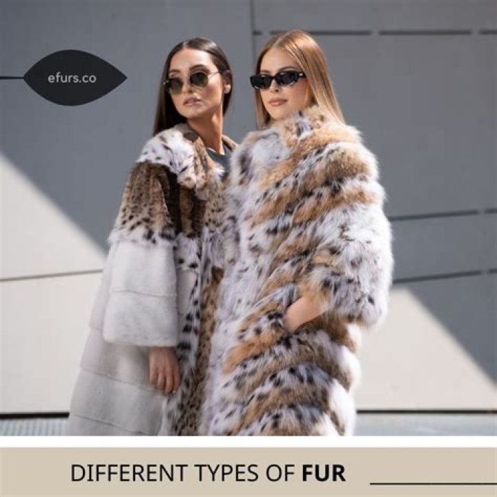 What is the best fur coat to buy