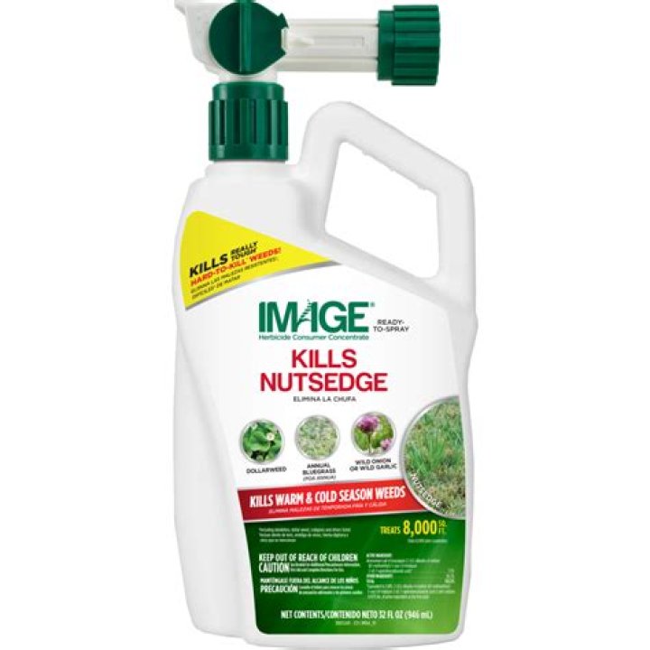 What is the best product to kill nutsedge