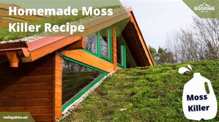 What is the best roof moss killer
