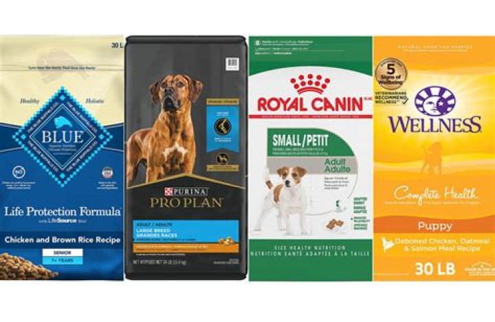 What is the best soft dog food for puppies