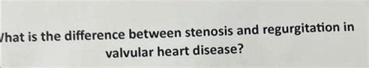 What is the difference between stenosis and regurgitation
