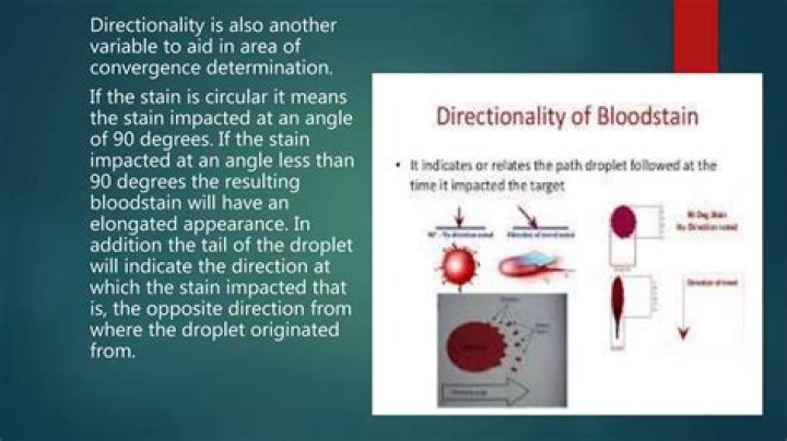What is the directionality problem