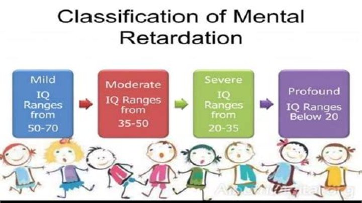 What is the leading teratogenic cause of mental retardation in infants