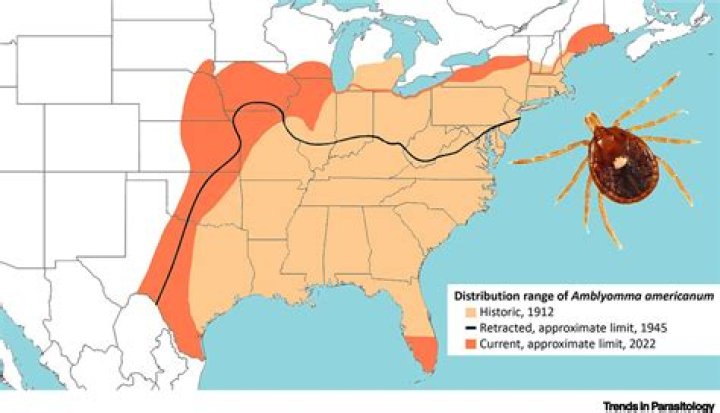 What is the Lone Star Rally