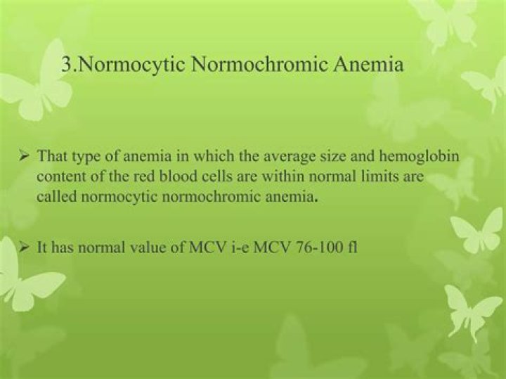 What is the meaning of Normocytic
