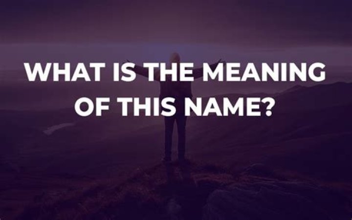 What is the meaning of the name maven