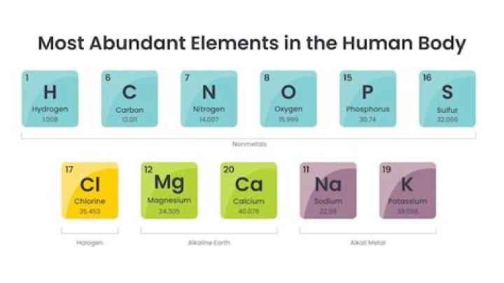 What is the most abundant cation in the body