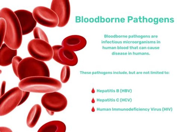 What is the most common bloodborne pathogen in the United States