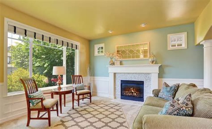 What is the most common ceiling paint