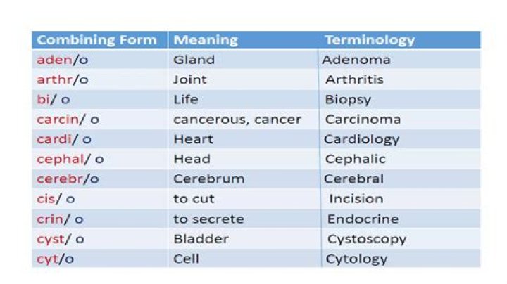 What is the most common combining vowel in medical terminology