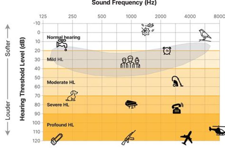 What is the normal Hz for hearing