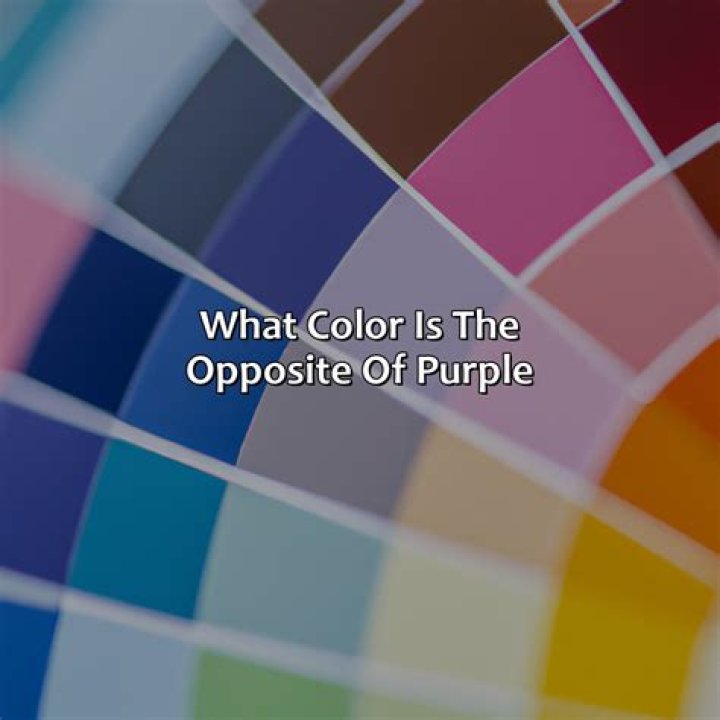 What is the opposite of citizen