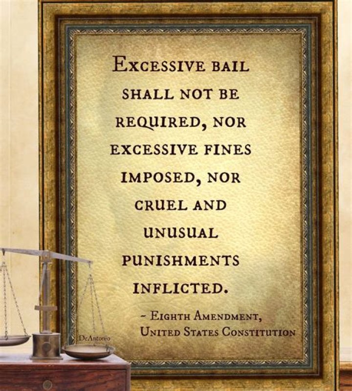 What is the purpose of the constitutional right to protection from excessive bail