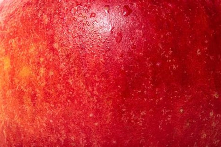 What is the texture of an apple