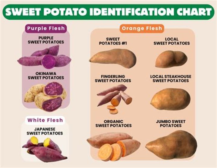 What kind of carb is sweet potato