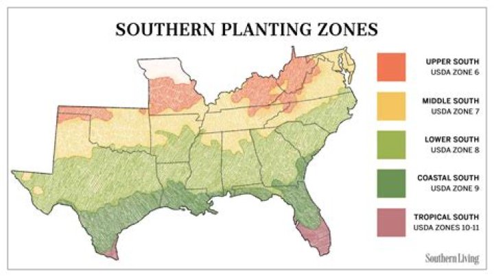 What planting zone is Hampton Virginia