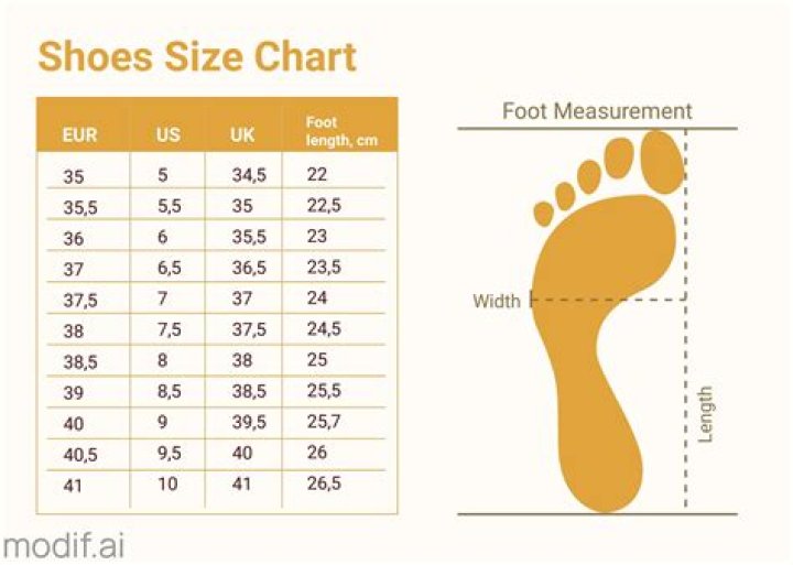 What size shoes do Models wear?