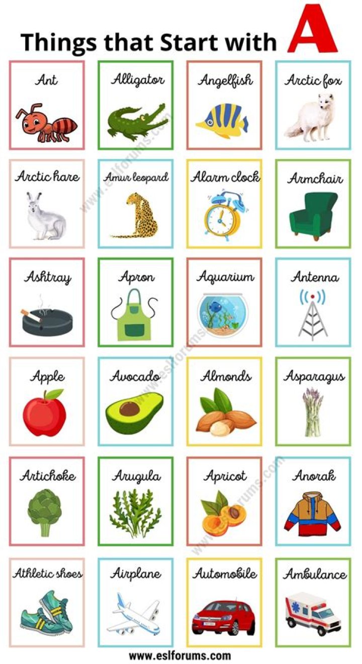 What stores start with the letter N?