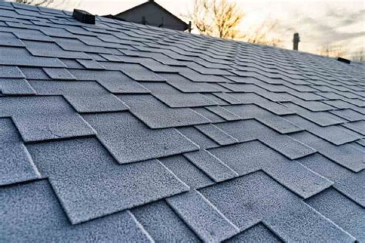 What type of roof is asphalt
