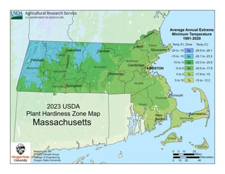What USDA zone is Massachusetts in