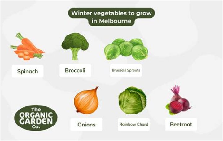 What vegetables grow in Newfoundland