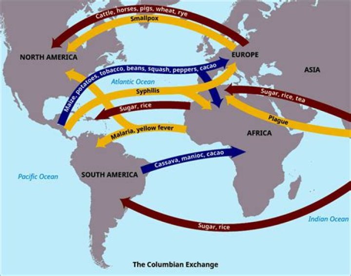 What was the Columbian Exchange AP world history