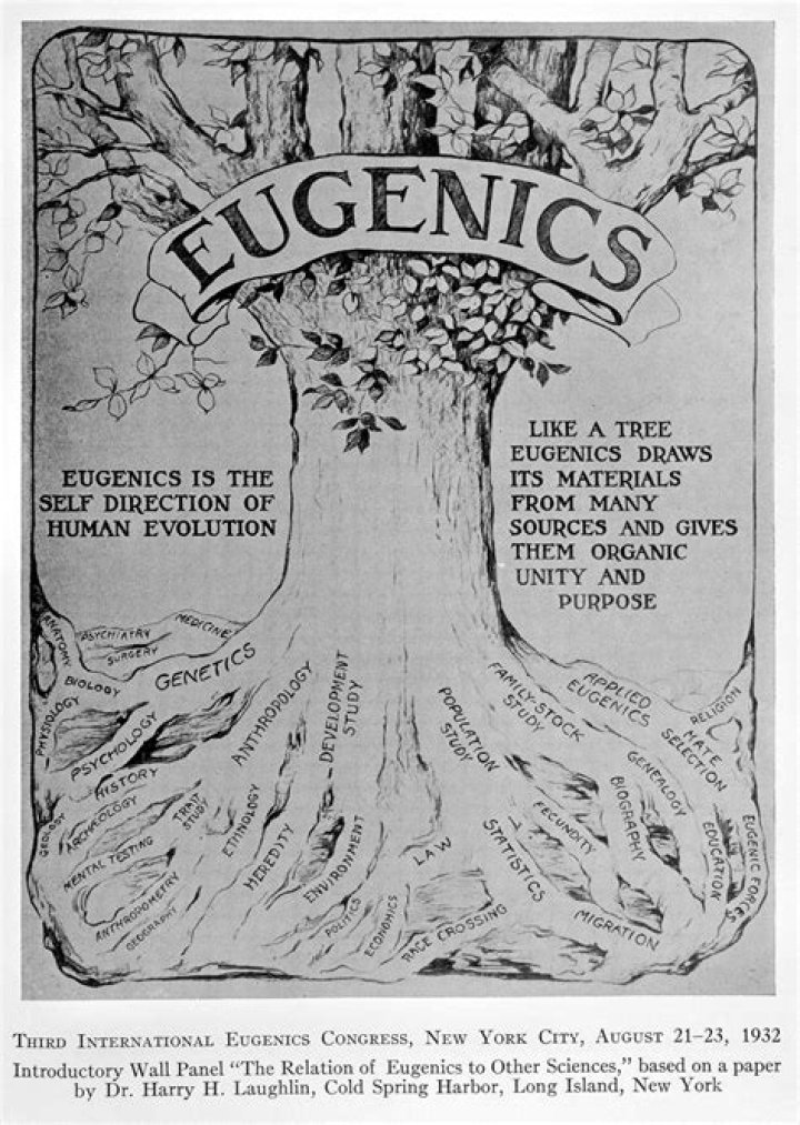 What were some of the consequences of the eugenics movement