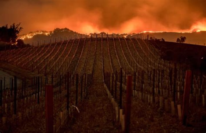 What winery burned down