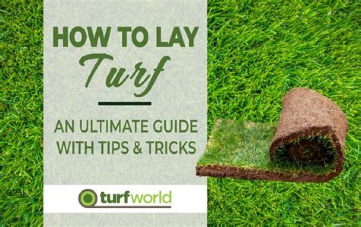 Whats the best time to lay turf