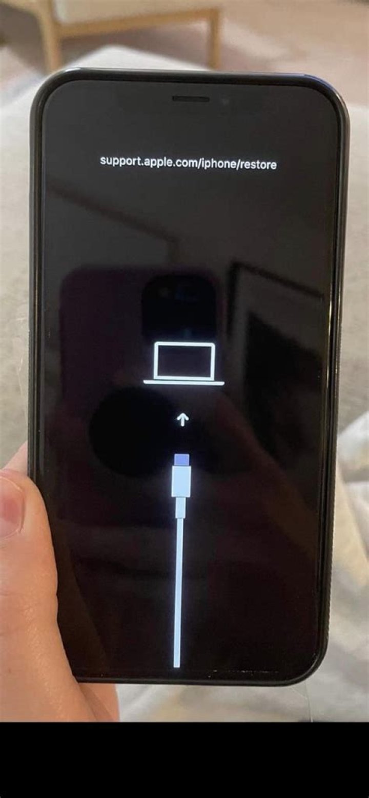 When I plug my phone in it says accessory not supported?