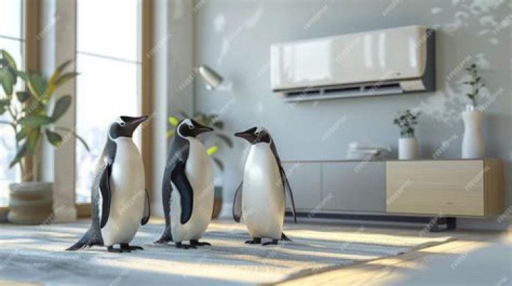 Where are DIP switches on Penguin air conditioner?